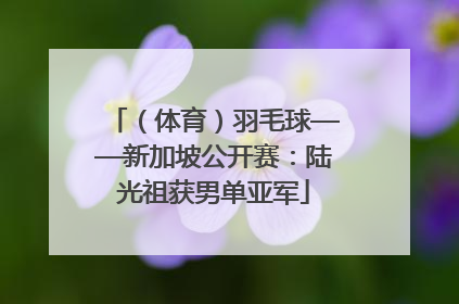 （体育）羽毛球——新加坡公开赛：陆光祖获男单亚军